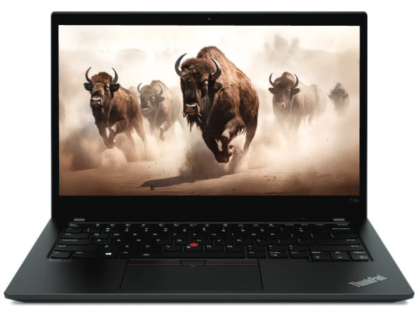 Prenosnik, LENOVO ThinkPad T14s G2 - slika 3
